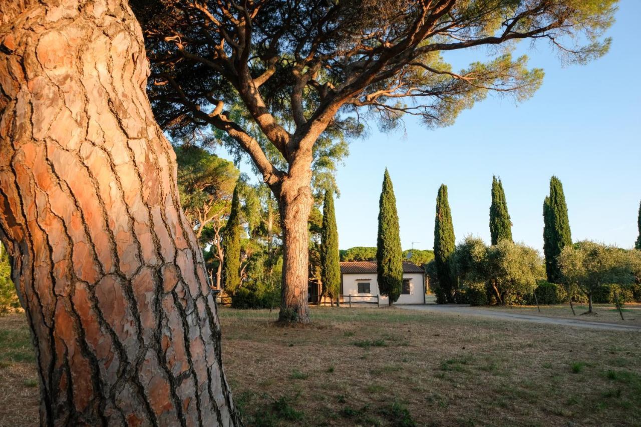 Residence La Canova II Marina di Grosseto Exterior photo