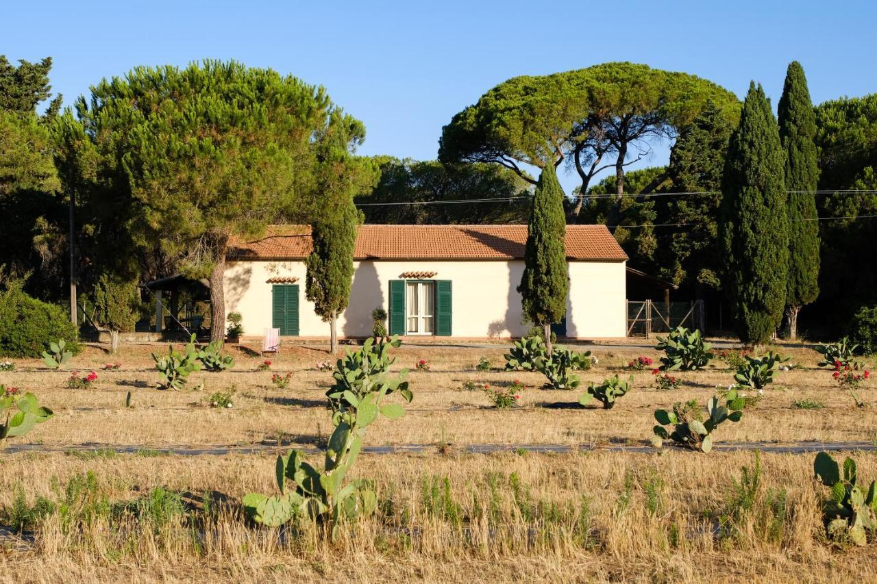 Residence La Canova II Marina di Grosseto Exterior photo