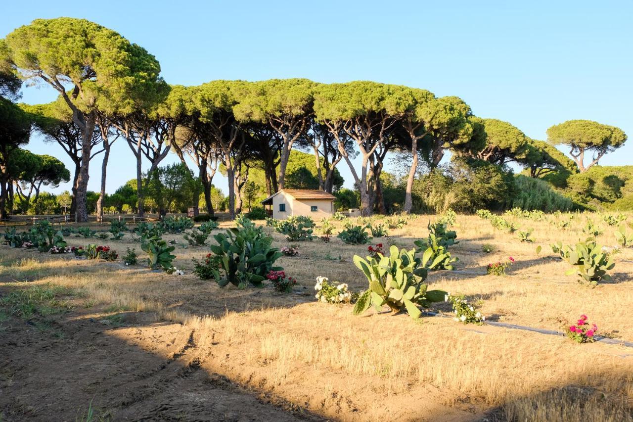 Residence La Canova II Marina di Grosseto Exterior photo