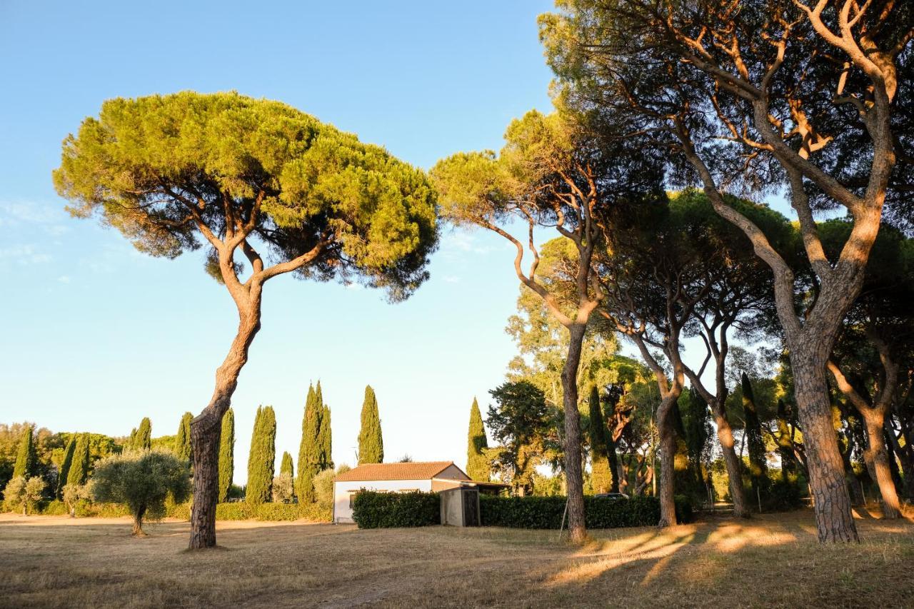Residence La Canova II Marina di Grosseto Exterior photo