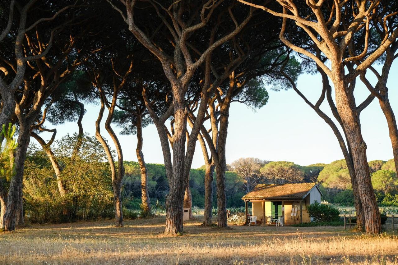 Residence La Canova II Marina di Grosseto Exterior photo
