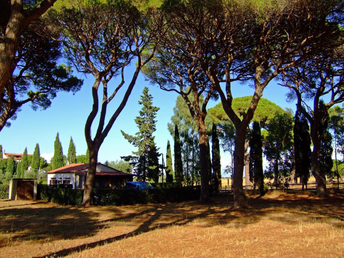 Residence La Canova II Marina di Grosseto Exterior photo